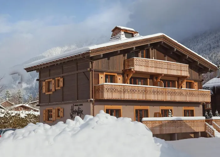 Appartement Paccard Locations Chamonix