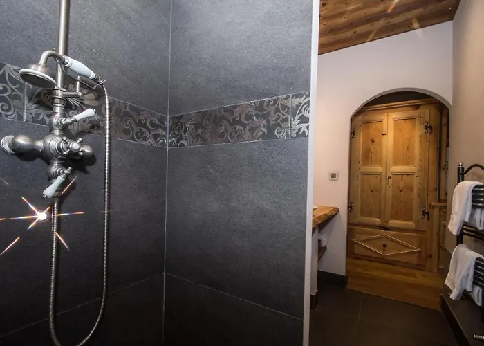 Appartement Paccard Locations Chamonix